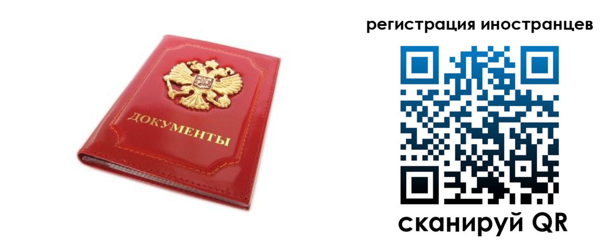 временная прописка в Коле